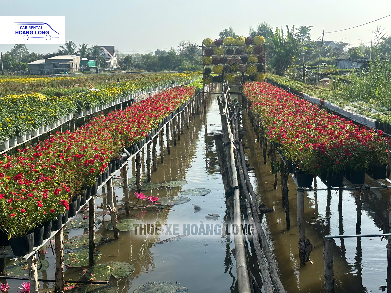 LÀNG HOA SA ĐÉC ĐỒNG THÁP